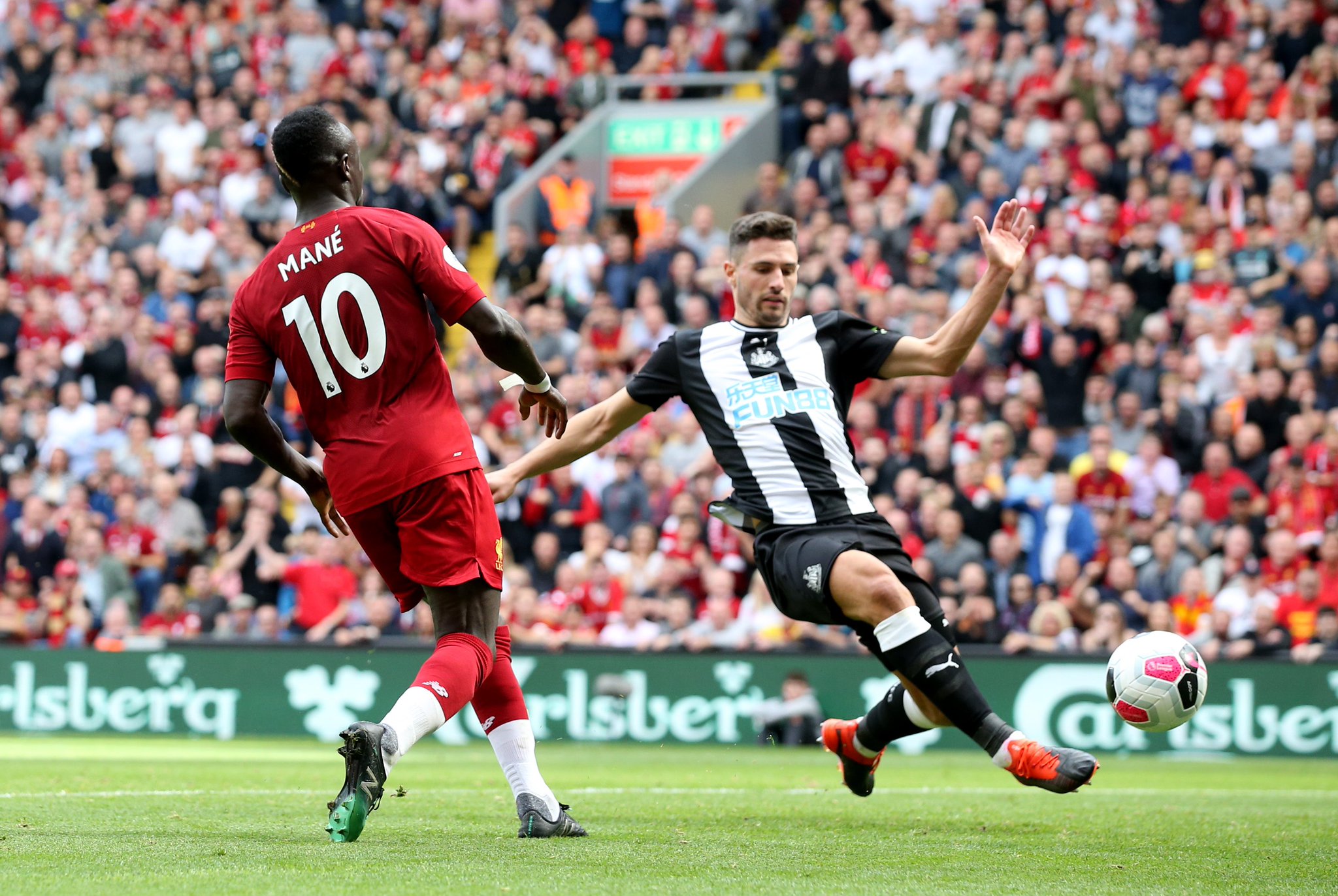 年轻有为的 年轻有为的