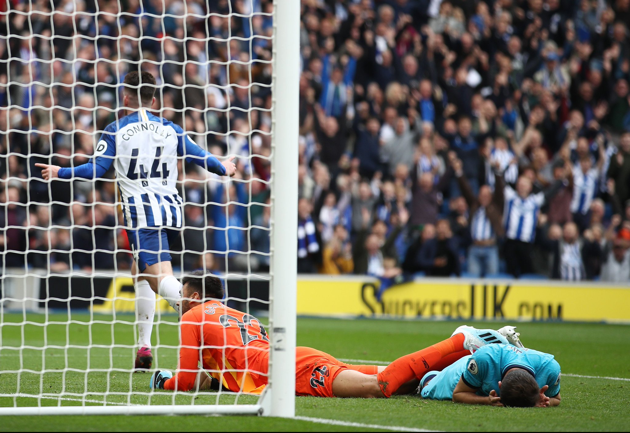 这句话不仅 这句话不仅