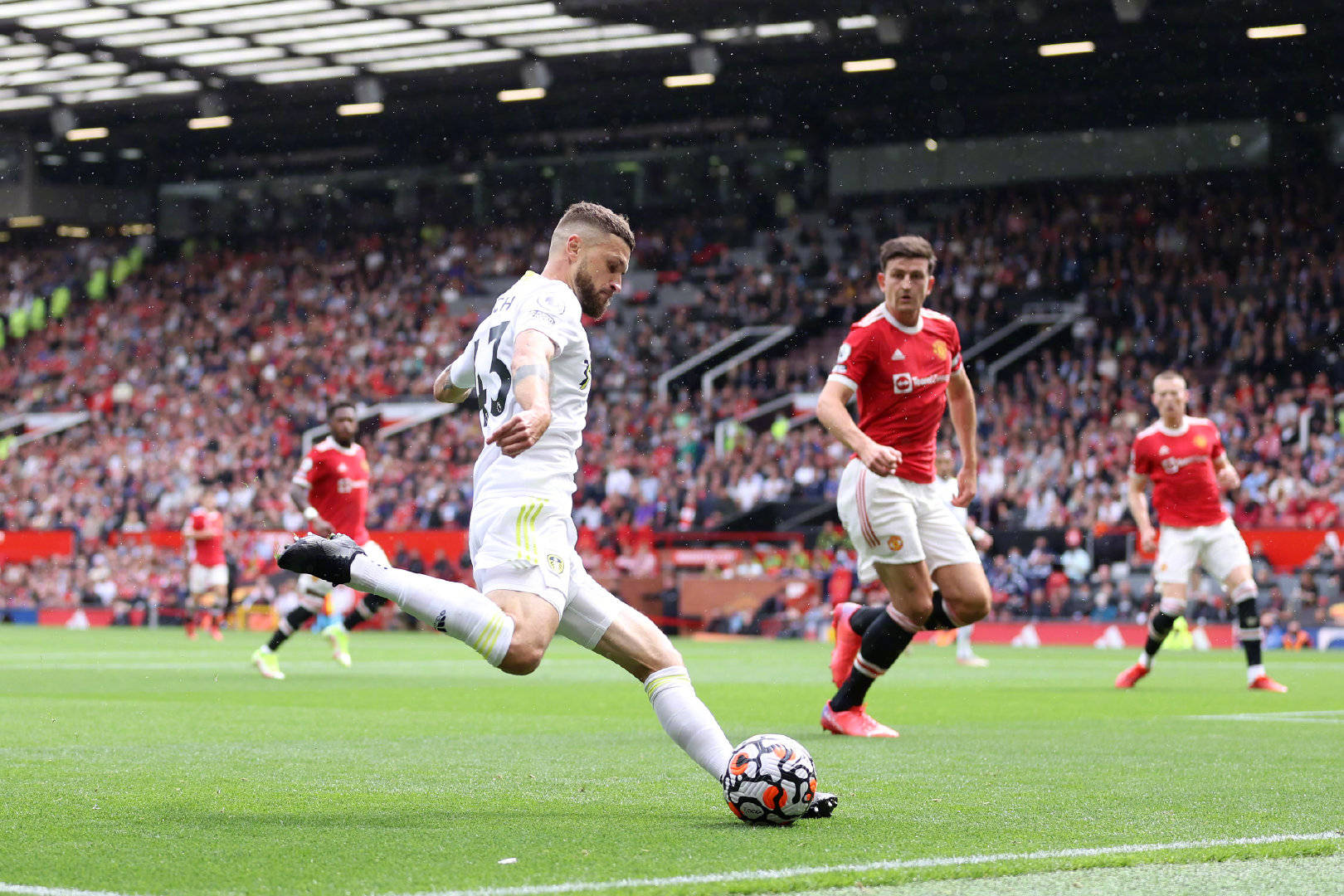 拉菲尼亚的 拉菲尼亚的