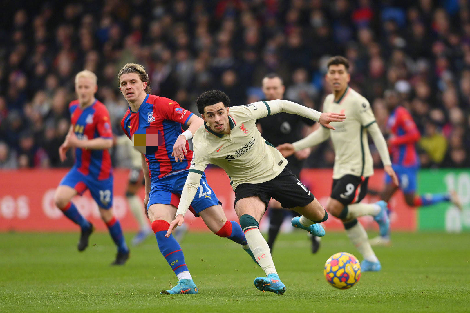 他在布鲁日 他在布鲁日